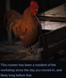 Scrappy The Rooster